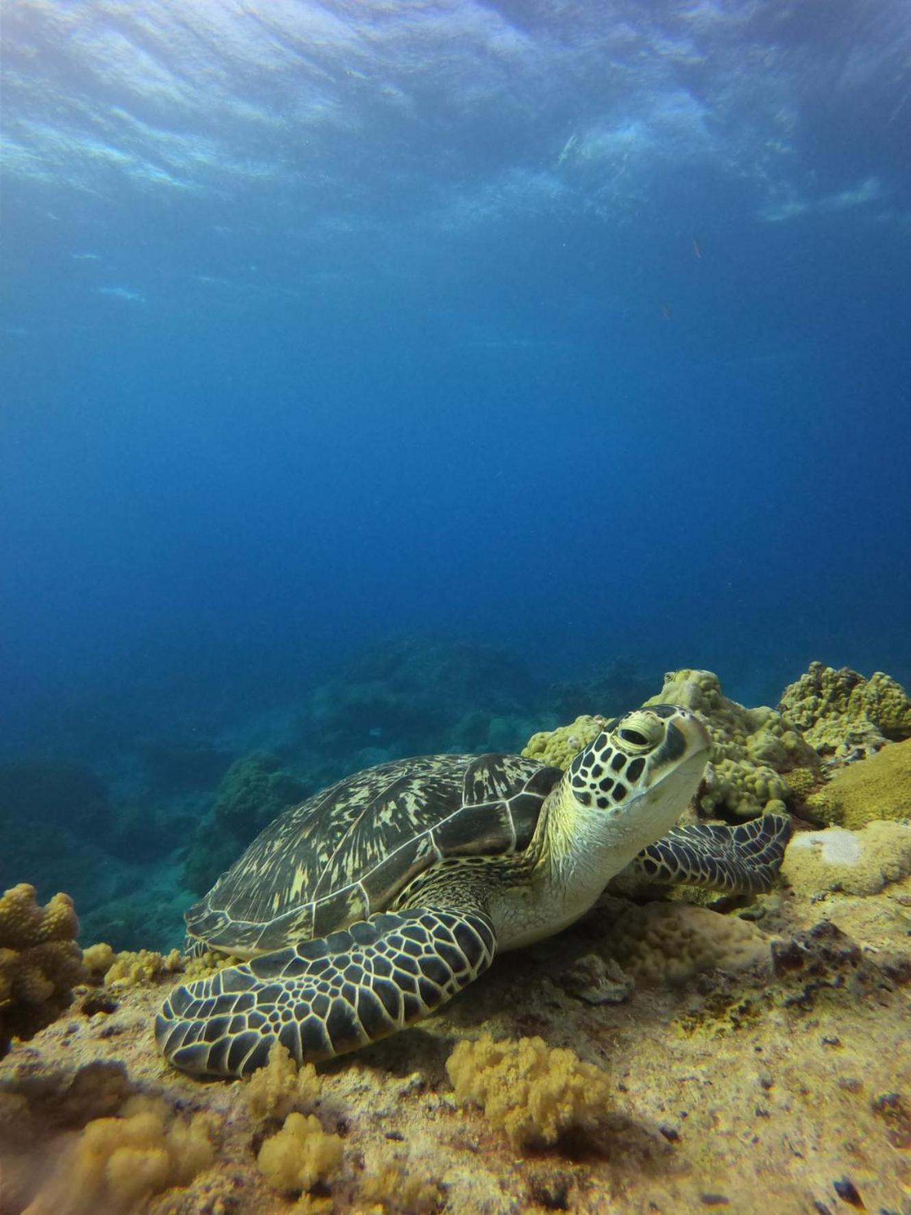 Hotel 樂見海 Green Island Zewnętrze zdjęcie